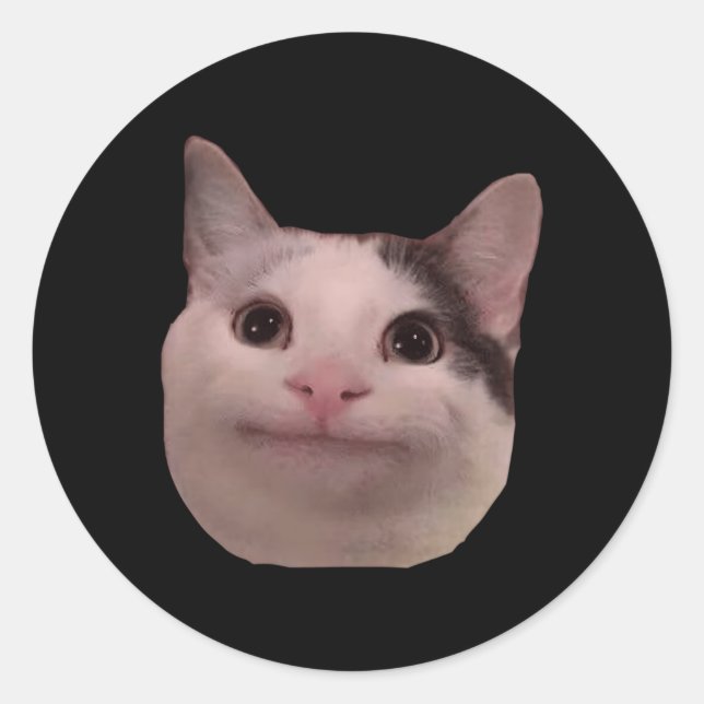 Sticker Rond Chat souriant Chat Beluga (Devant)