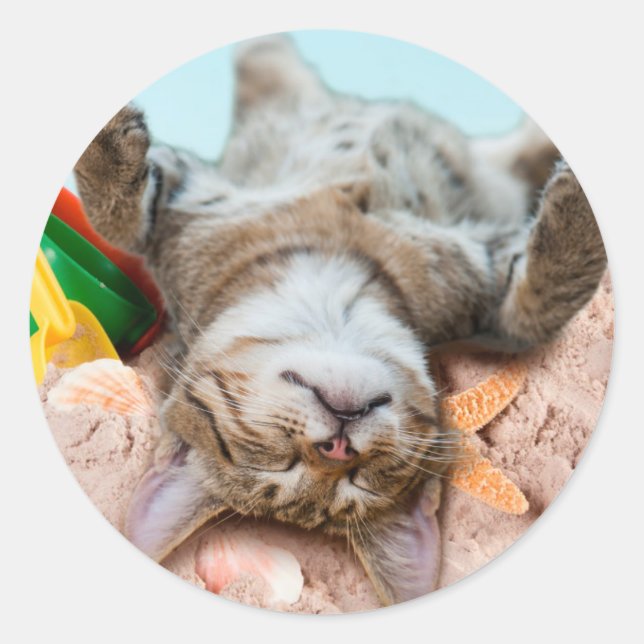 Sticker Rond Chat sur la plage et ciel bleu (Devant)