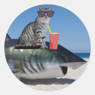 STICKER ROND CHAT SUR PLAGE SHARK