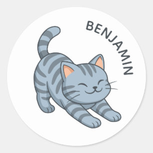 Sticker Rond Chat Tabby Gris Étiré Nom Personnalisé