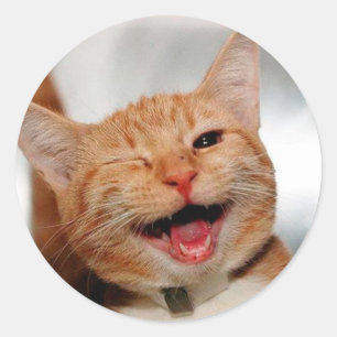 Sticker Rond Chat tabby mignon pleurant d'un oeil