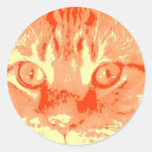Sticker Rond Chat Tabby Orange