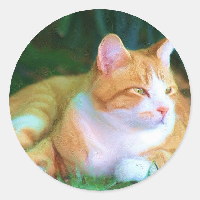 Sticker Rond Chat Tabby Orange (Devant)
