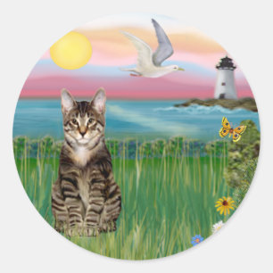 Sticker Rond Chat (tabby) - Phare