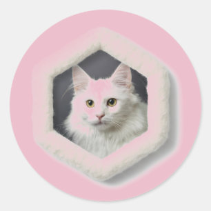Sticker Rond Chat Turc Angora Dans Un Cadre - Rose