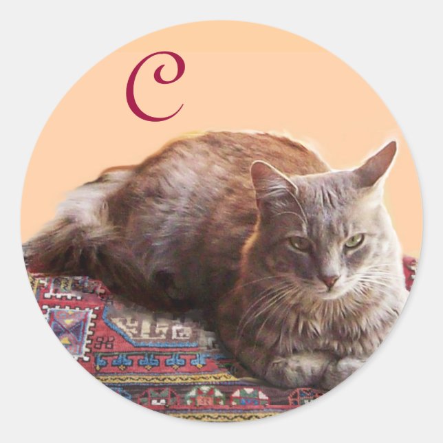 STICKER ROND CHAT TURQUE SUR L'ANCIEN MONOGRAMME DE MOQUETTE (Devant)