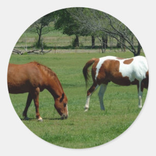 Sticker Rond Châtaignes et pinto