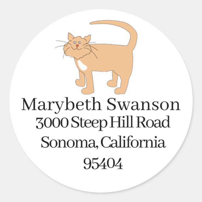 Sticker Rond Chaton  (Devant)