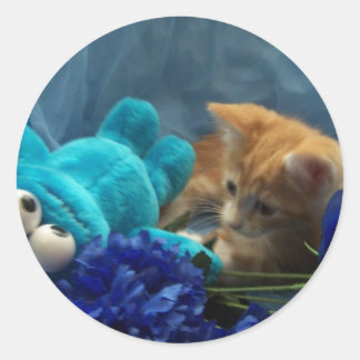 Sticker Rond chaton bébé Cole
