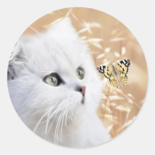 Sticker Rond Chaton et papillon blancs