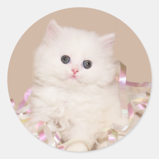 Sticker Rond Chaton perse blanc (Devant)