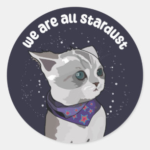 Sticker Rond Chaton Stardust