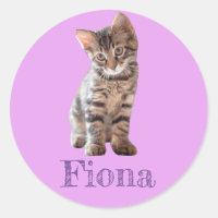 Chaton Tigré Personnalisé Lavande