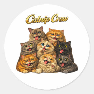 Sticker Rond Chats drôles