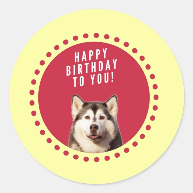 Sticker Rond Chatte Sibérien Husky Chien Joyeux Anniversaire (Devant)