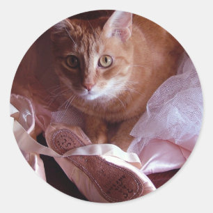 Sticker Rond Chaussures de chat et de ballet