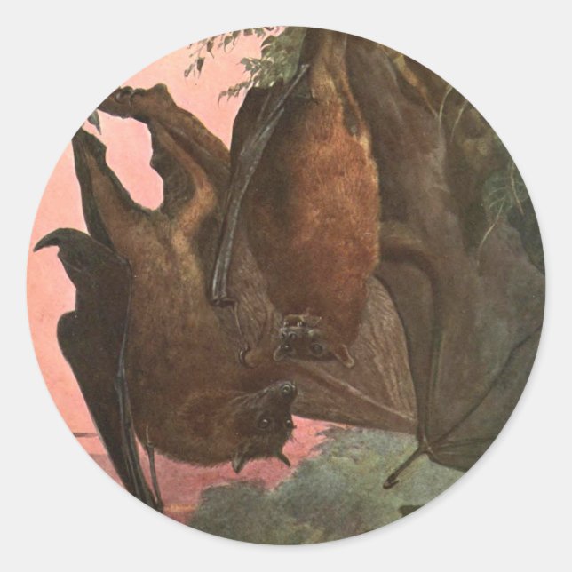 Sticker Rond Chauves-souris renards volantes par Austen, Animau (Devant)