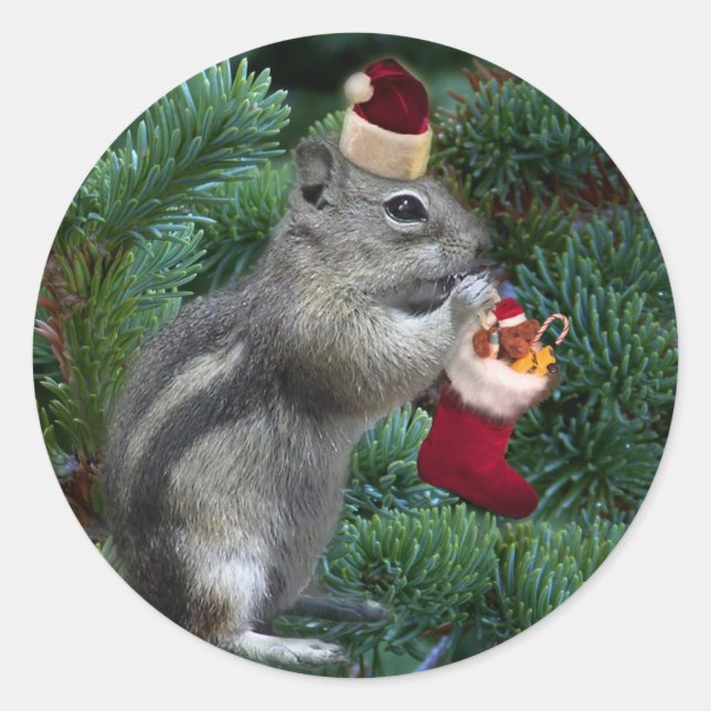 Sticker Rond Cheeky Christmas Chipmunk (Devant)