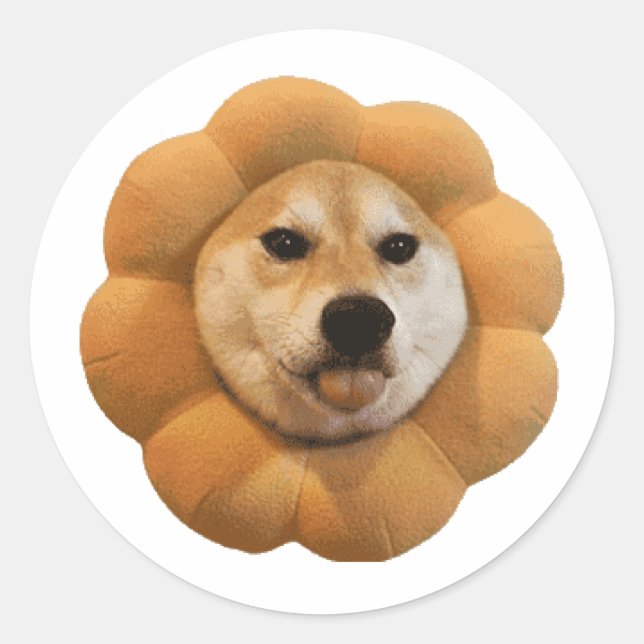Sticker Rond CHEEMS meme del perro shiba (Devant)