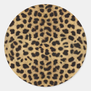 Sticker Rond Cheetah Fur Motif, Cheetah Print