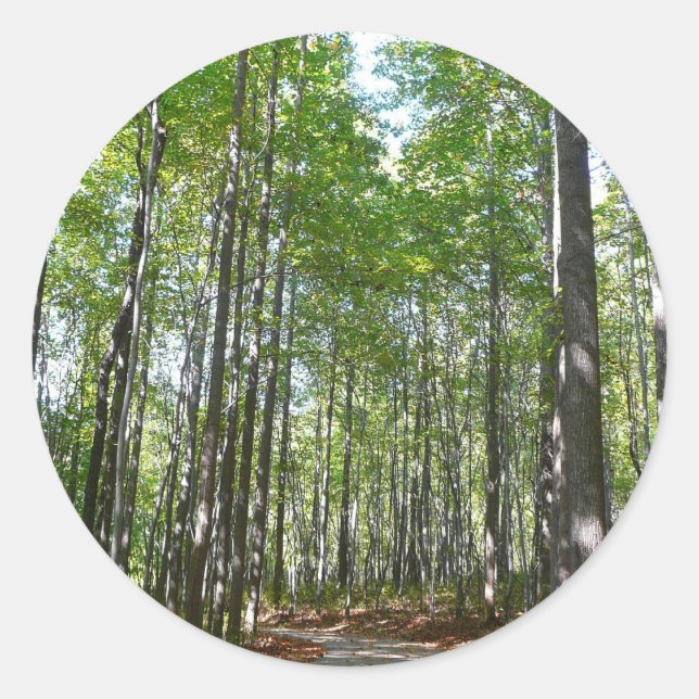 Sticker Rond Chemin en bois centenaire II Ellicott City Marylan (Devant)