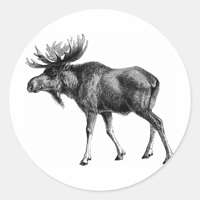 Sticker Rond Chemises et cadeaux d'orignaux 112 (Devant)