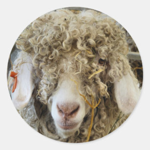 STICKER ROND CHÈQUE CUTE