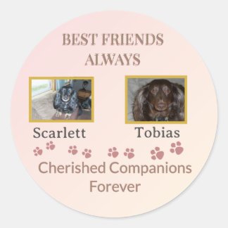 Sticker Rond Cherished Companions Pawprint