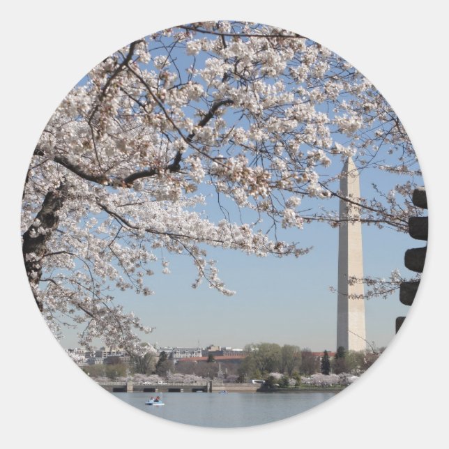 Sticker Rond Cherry Blossom Washington DC (Devant)