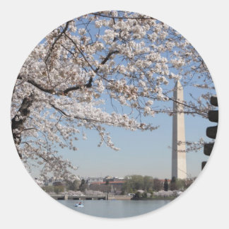 Sticker Rond Cherry Blossom Washington DC