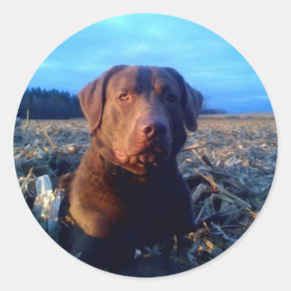 Sticker Rond Chessie