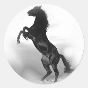 Sticker Rond Cheval