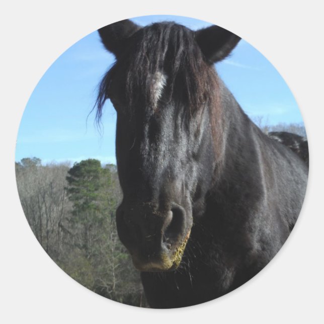 Sticker Rond Cheval à bascule noir secouru (Devant)