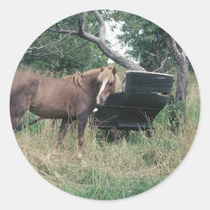 Sticker Rond Cheval à la recherche vieux buggy