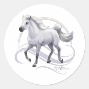 Sticker Rond Cheval arabe gris