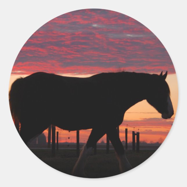 Sticker Rond Cheval au coucher du soleil (Devant)