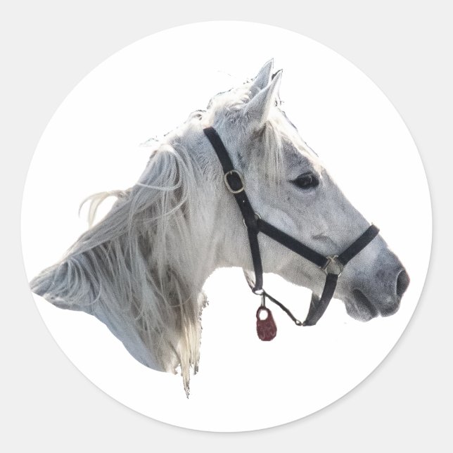 Sticker Rond Cheval blanc (Devant)