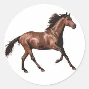 Sticker Rond Cheval Brown