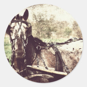 Sticker Rond Cheval d'Appaloosa