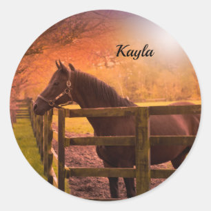 Sticker Rond Cheval d'automne
