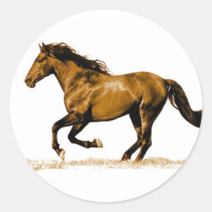 Sticker Rond Cheval de course