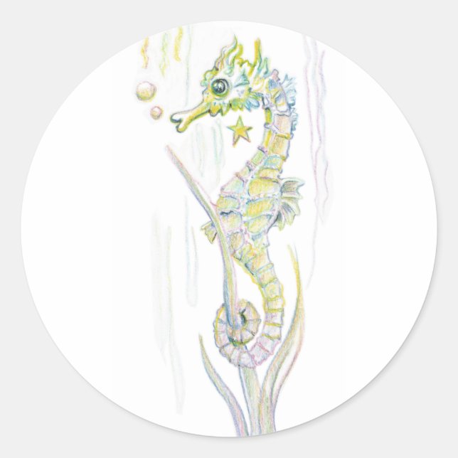 Sticker Rond Cheval de mer Succulent (Devant)