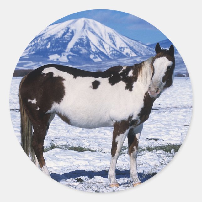 Sticker Rond Cheval de peinture debout dans la neige (Devant)