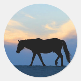 Sticker Rond Cheval de plage du coucher de soleil
