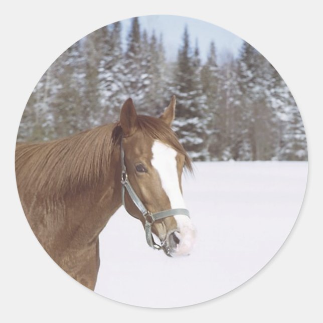 Sticker Rond Cheval d'hiver (Devant)