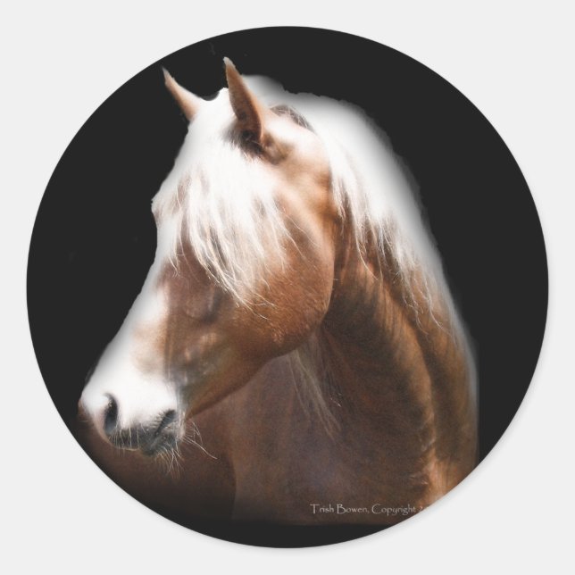 Sticker Rond Cheval d'Imaginaire en noir (Devant)