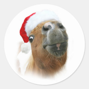 Sticker Rond Cheval drôle de Noël