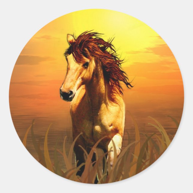 Sticker Rond Cheval du matin (Devant)