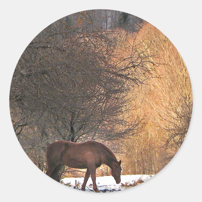 Sticker Rond Cheval en hiver (Devant)