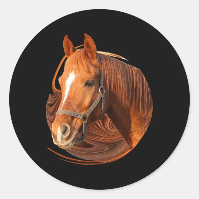 Sticker Rond Cheval équitation Graphisme Cheval Photo - Cheval  (Devant)